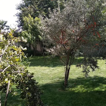 за гости праматарови Affittacamere Ognyanovo (Blagoevgrad)